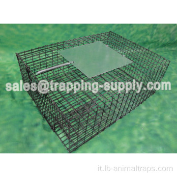 LB-39 Galvanized Sparrow Cage Trap